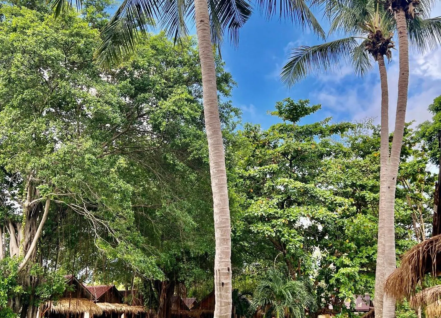 Nautilus Right On The Beach - Adult Only - Sha Extra Plus Koh Lanta 3*,